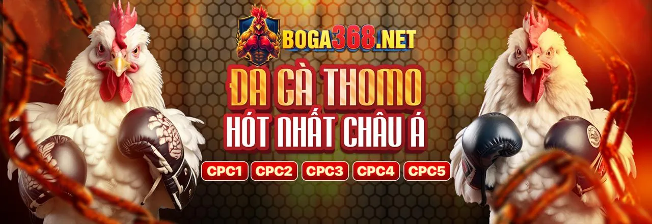 Hình ảnh đối tác bcgame thành công